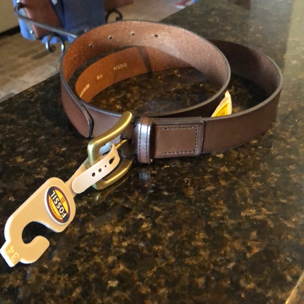 Fossil belt